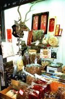 Quinping Market, Guangzhou